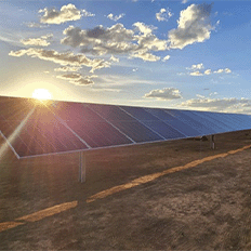 Elera Renováveis reafirma seu compromisso com a sustentabilidade 