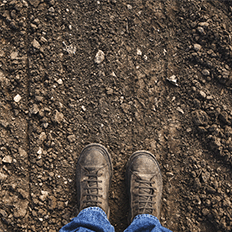 Reciclagem na Indústria do Aço contribui para atender à crescente demanda por corretivos agrícolas no Brasil