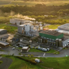 A eficiência na conversão do amido em etanol será o fator determinante para o cumprimento das metas de produção de biocombustíveis  