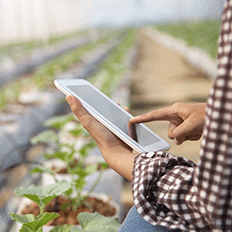 Inteligência Artificial tem se consolidado como uma aliada estratégica para o agronegócio