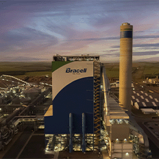 Bracell Papéis instala maior painel solar da América Latina e avança em energia renovável