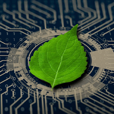 Como o setor de TI está ajudando empresas a se tornarem mais verdes