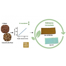 Mistura dos óleos de linhaça e de castanha-do-pará modificada é uma opção sustentável para a produção de biopolímeros plásticos