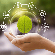 Workshop Câmaras Ambientais