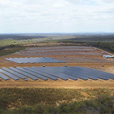 Grupo Bolt evita a emissão de 7.008 toneladas de CO2 na atmosfera