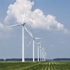 Decisão do Congresso na Lei das Eólicas encarece energia e vai na contramão de ambição climática brasileira