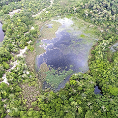 Projeto REDD Sertão Veredas é uma iniciativa inédita de geração de créditos de carbono no Cerrado mineiro