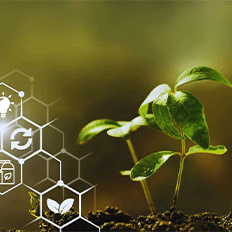 Governo de Goiás regulamenta a concessão de benefícios fiscais para empresas que produzem biogás e biometano