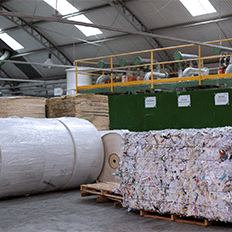 Plásticos causam problemas sistêmicos em uma cadeia que vai dos oceanos e animais marinhos à saúde humana 