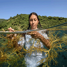 PRIO destaca avanços na agenda ambiental, social e de governança 