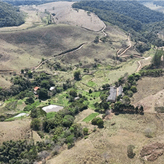 MRS Logística adquire Fazenda Paraíso, em Juiz de Fora/MG, para reflorestamento com espécies nativas da Mata Atlântica 