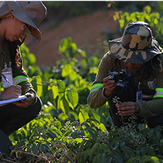 Inscrições para edital do Consórcio de Pesquisa em Biodiversidade Brasil-Noruega (BRC) vão até quinta-feira (31)