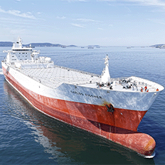 Citrosuco inicia a utilização de combustível renovável com o navio Carlos Fischer