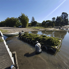 Embrapii desenvolve tecnologia inédita que transforma em biocombustível algas que crescem em hidrelétricas