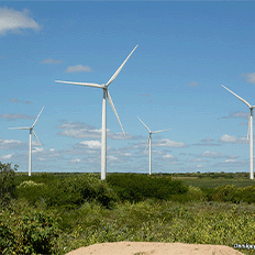 Echoenergia se destaca por sua estratégia de inovação baseada nas tecnologias com Inteligência Artificial