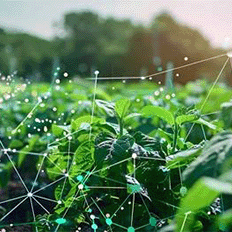 55% da indústria afirma que a melhoria da eficiência é o principal motivo para buscar maior sustentabilidade