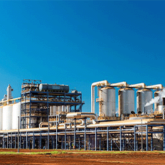 Atvos e NetZero assinaram Memorando para desenvolver um projeto-piloto de produção de biochar