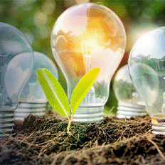 Inaugurada segunda planta 100% de biogás no oeste de São Paulo