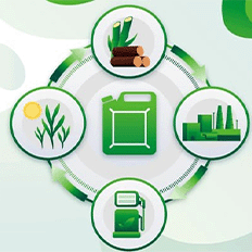 Brasil tem uma trajetória pioneira no uso de biocombustíveis