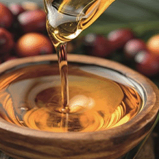 Klüber Lubrication oferece uma linha de soluções voltada para alta performance, segurança alimentar e sustentabilidade