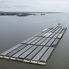 ICONIC assina protocolo de intenções para o desenvolvimento de um produto destinado à frota de empurradores 