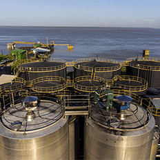 Agropalma inaugura usina de biocombustíveis que transformará resíduos em energia limpa para abastecer o mercado local 