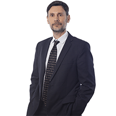 A indústria de celulose 4.0 do chão de fábrica à liderança global 