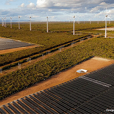 Equinor e a Rio Energy iniciaram produção comercial de energia no complexo Serra da Babilônia Solar 