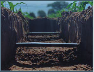 Irrigação dá salto: de supérflua a essencial no paisagismo; e de apoio a um dos pilares do agronegócio