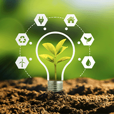 Abeaço acaba de lançar seu primeiro Relatório de Sustentabilidade 