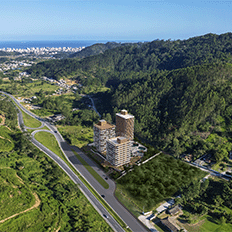 Mercado global de até US$ 5 trilhões impulsiona a bioeconomia na multipropriedade brasileira