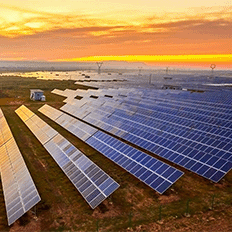 Custo da eletricidade acelera adoção de soluções renováveis e estratégias de gestão energética no agronegócio 