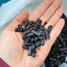 Pesquisa Embrapii avalia uso do cânhamo para reforço de papéis reciclados