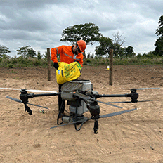 Construtora Elevação realiza a recuperação de mata nativa em 54 quilômetros de áreas amazônicas