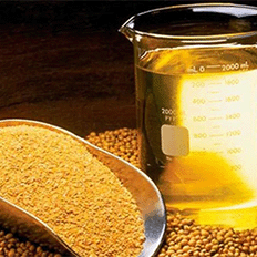 APROBIO e a ABIOVE aprovaram a AliançaBiodiesel