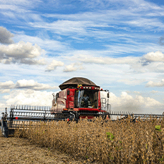 BASF impulsiona o agro gaúcho com soluções integradas e inovação para apoiar o setor