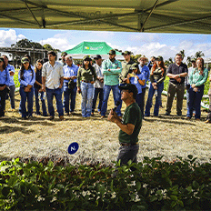 Rovensa Next Brasil anuncia o lançamento do Otimais Duo