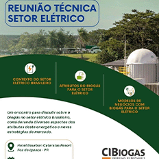 COGEN realiza reunião técnica do setor elétrico com CIBiogás e CHP Brasil