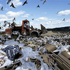 O Futuro na Gestão dos Resíduos Sólidos em São Paulo