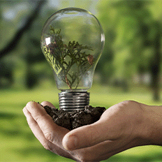 A indústria brasileira está acelerando investimentos em fontes renováveis e eficiência 