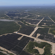 SPIC Brasil divulga a edição de 2025 de seu Relatório de Sustentabilidade 