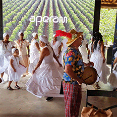 Aperam BioEnergia e Fundação Aperam Acesita destinam R$ 1,3 milhão a 53 projetos