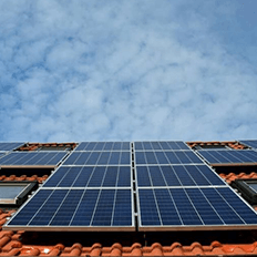 Proposta da Go Solar é atender os revendedores e integradores com produtos de alta qualidade e reconhecidos no mercado