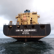 Log-In Logística Intermodal investe cerca de R$ 60 milhões na aquisição de um novo porta-contêineres