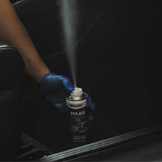 Rede de concessionárias Hyundai oferecem desinfecção de veículos