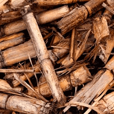 Bolsa de doutorado em estudo de Biocombustíveis