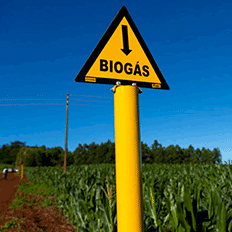 Sebrae-PR lança comunidade digital “Biogás Brasil”