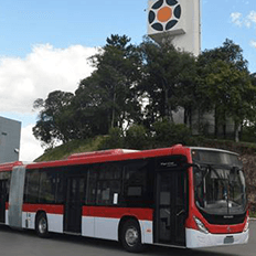 Marcopolo em parceria com a Mercedes-Benz, concluiu entrega de novos ônibus