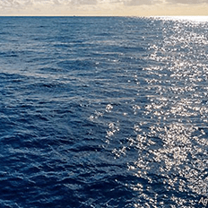 Petrobras declarou seu apoio ao TCFD (Força-Tarefa sobre Divulgações Financeiras Relacionadas ao Clima)