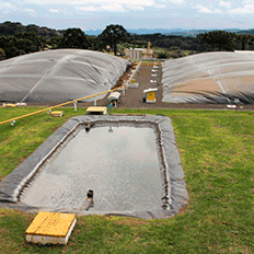 GEF Biogás Brasil faz parceria com a Klabin para desenvolvimento de projetos de biogás